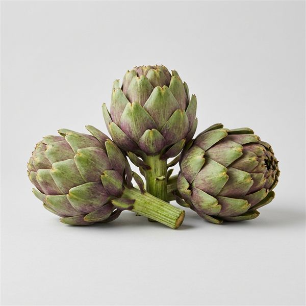 Alcaucil