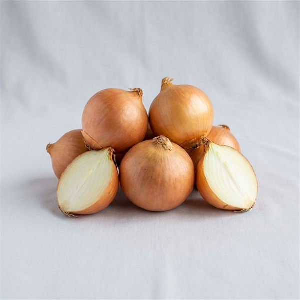 Cebolla