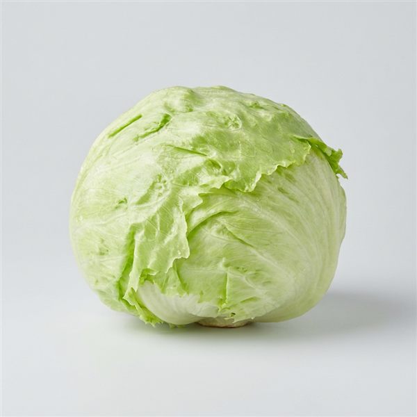 Lechuga repollada