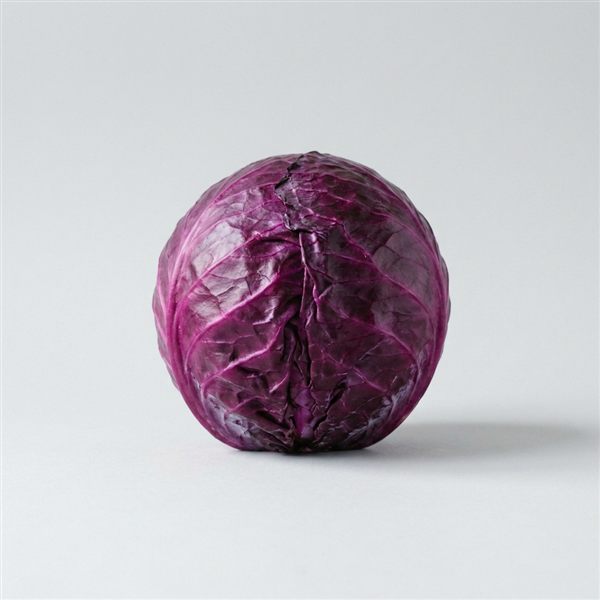 Repollo morado