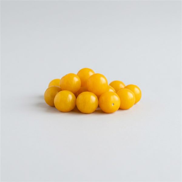 Tomate cherry amarillo