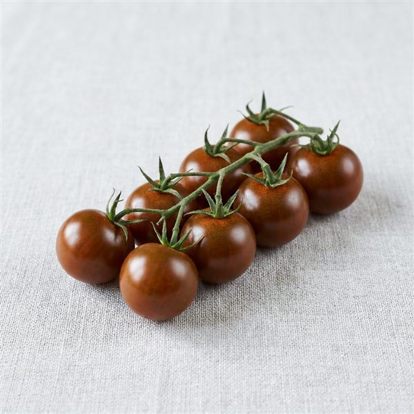 Tomate cherry chocolate