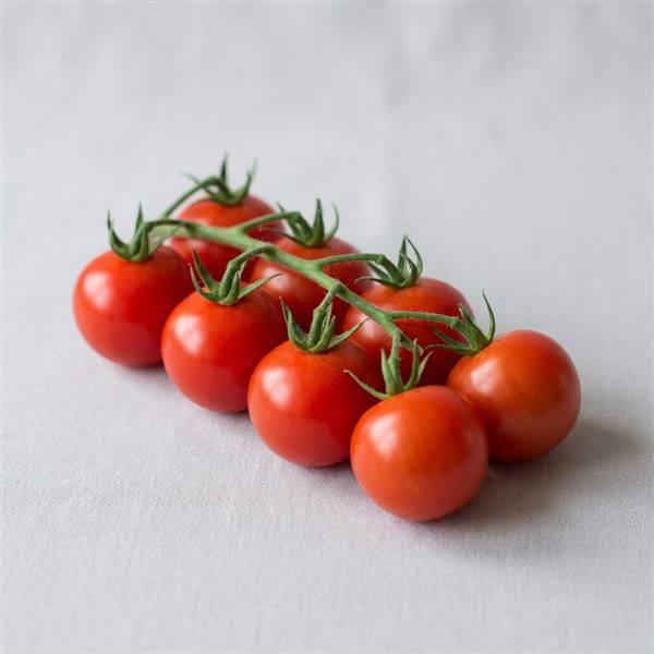 Tomate cherry en rama