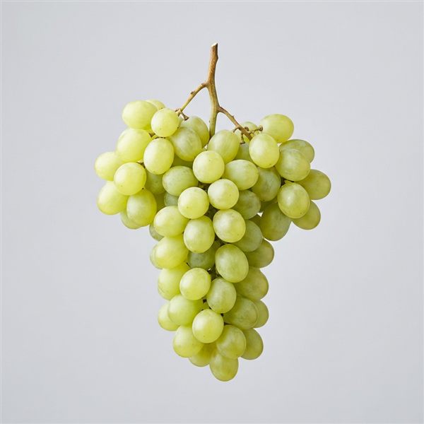 Uva blanca